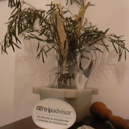 ベッド・アンド・ブレックファスト Lercari